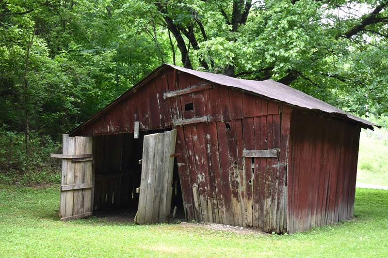 86 Dog Branch Rd, Pleasant Shade, TN 37145