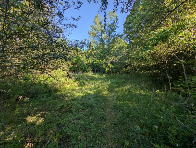 1023 Abiff Rd, Bon Aqua, TN 37025