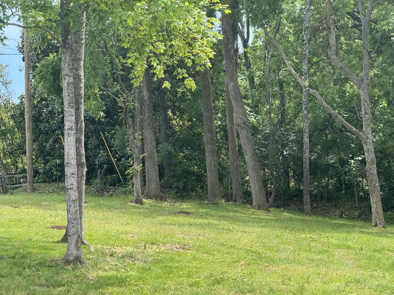1121 Harpeth Ridge Rd, Franklin, TN 37069
