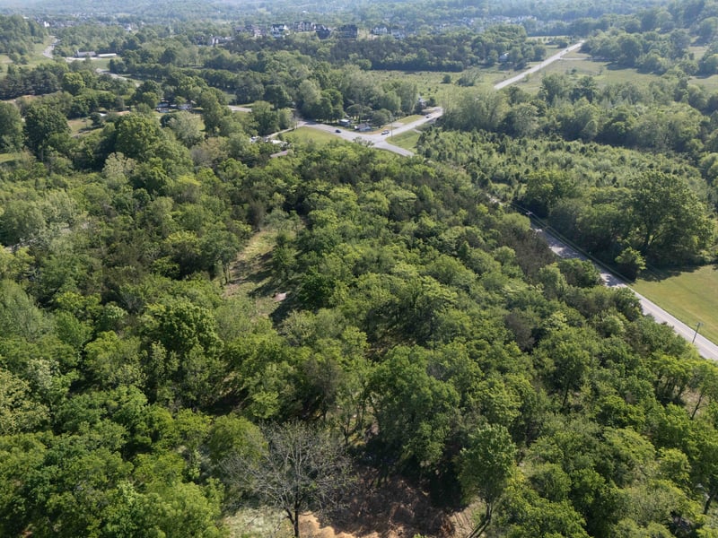 0 Arno Allisona Rd Lot 1, College Grove, TN 37046