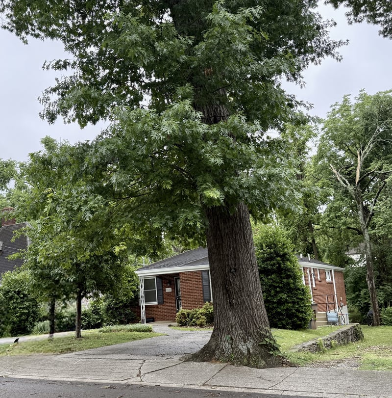 2607 W Linden Ave, Nashville, TN 37212