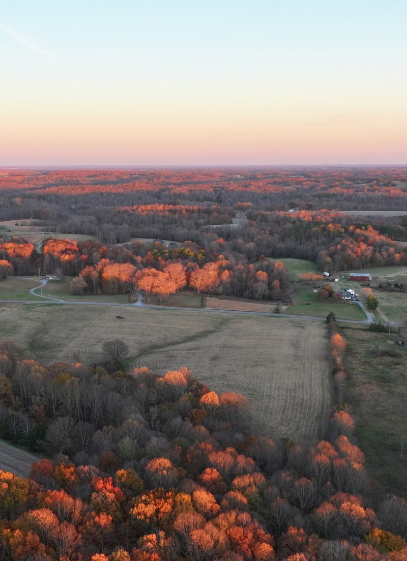 Pleasant Grove Rd, Westmoreland, TN 37186