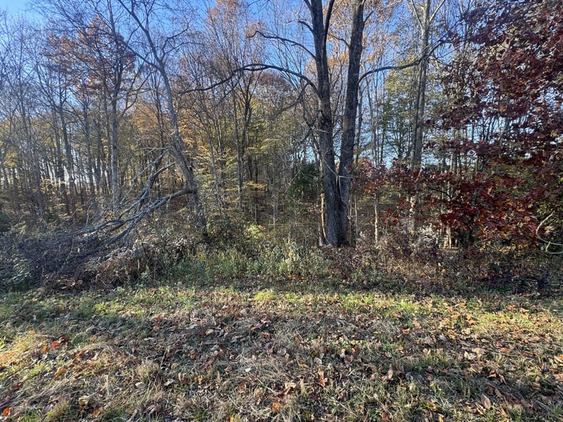 Pleasant Grove Rd, Westmoreland, TN 37186