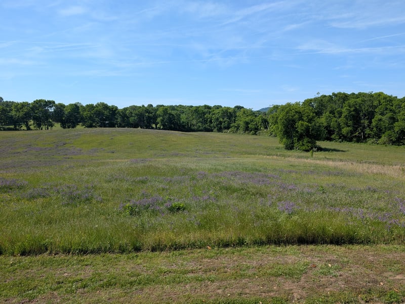 20 Riverbend Ln, Carthage, TN 37030