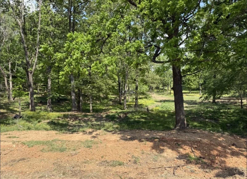 5417 Dowlen Rd, Cedar Hill, TN 37032