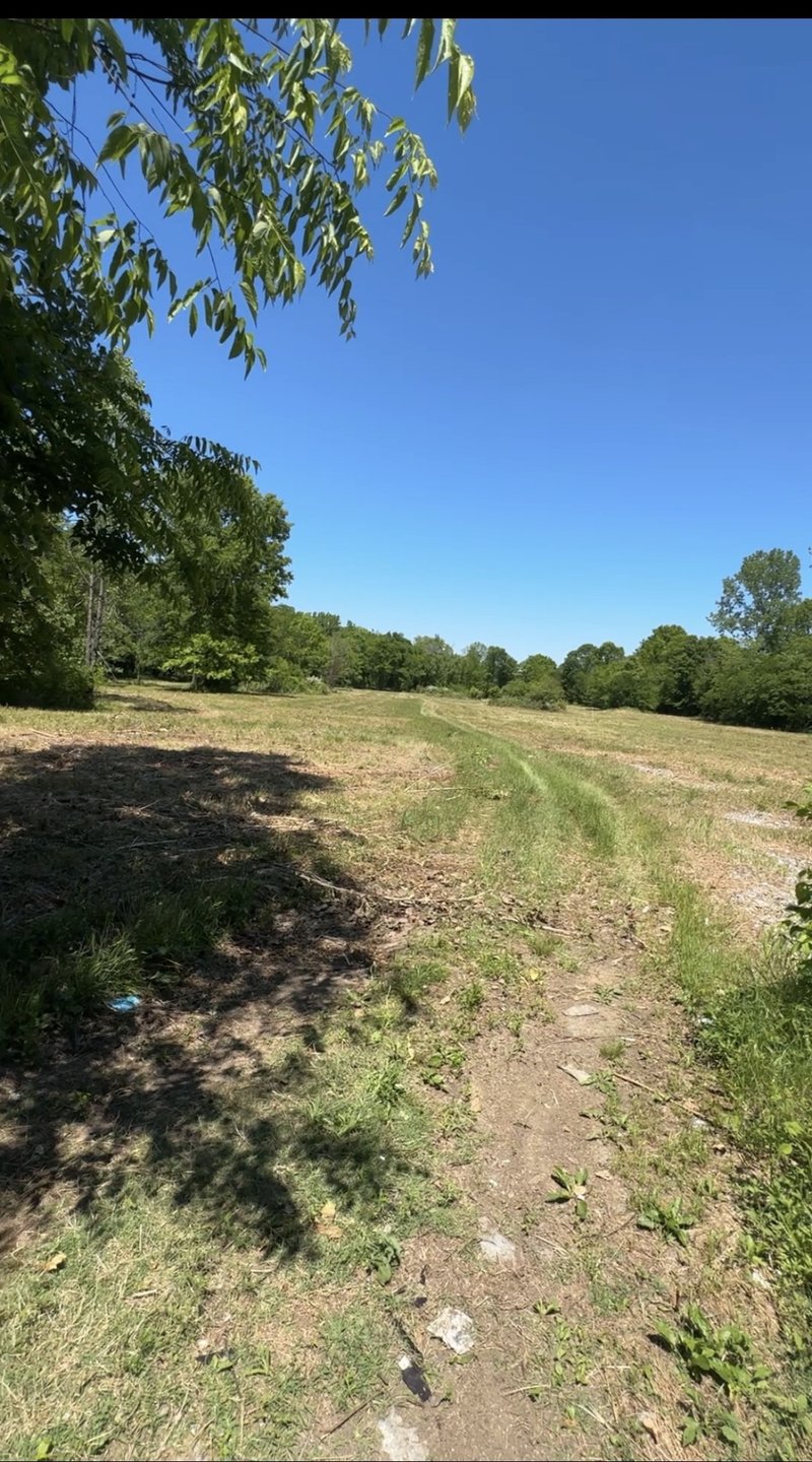 Bluebird Rd, Lebanon, TN 37087
