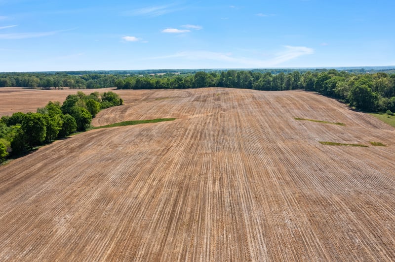 Cooper Nicholson Rd, Coopertown, TN 37172