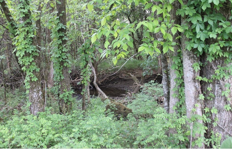Midland Fosterville Rd, Bell Buckle, TN 37020