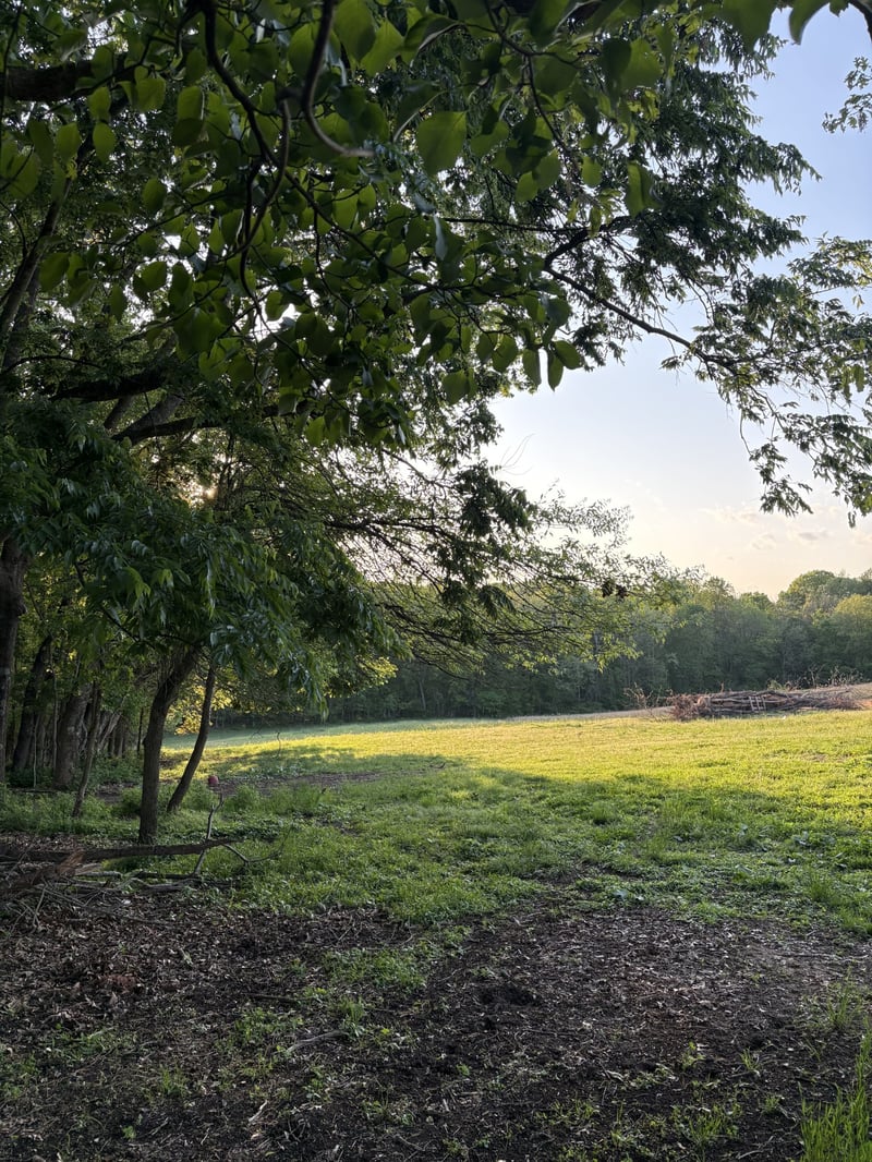 4884 Rock House Rd, Portland, TN 37148