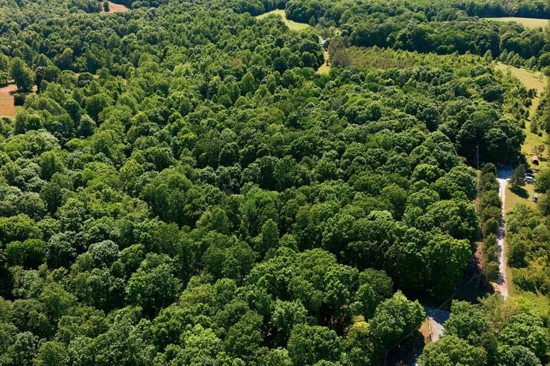 Maple Grove Rd, Dickson, TN 37055
