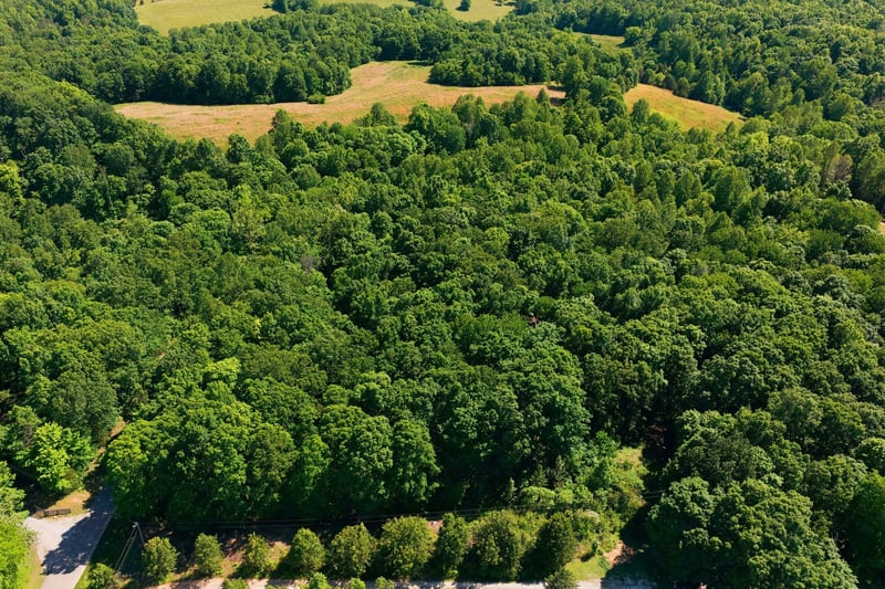 Maple Grove Rd, Dickson, TN 37055