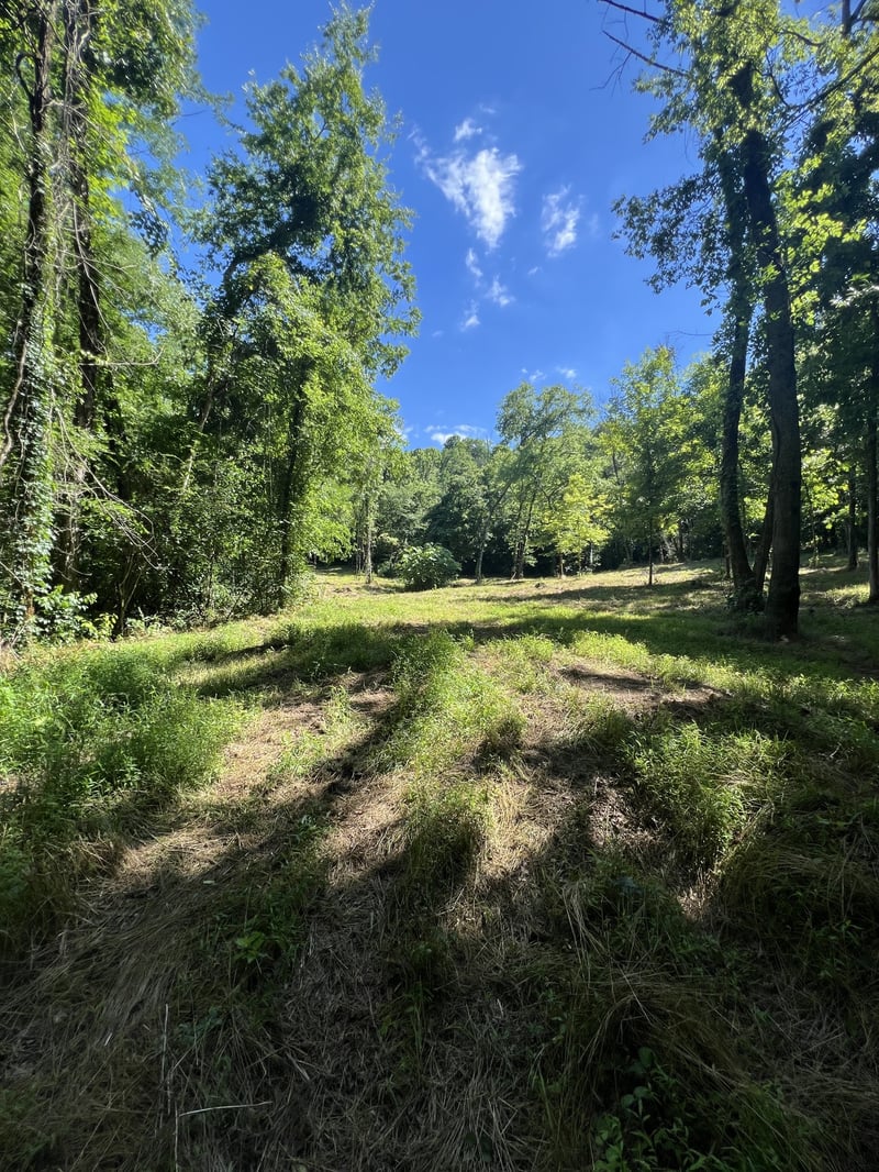 Horseshoe Bend Ln, Elmwood, TN 38560