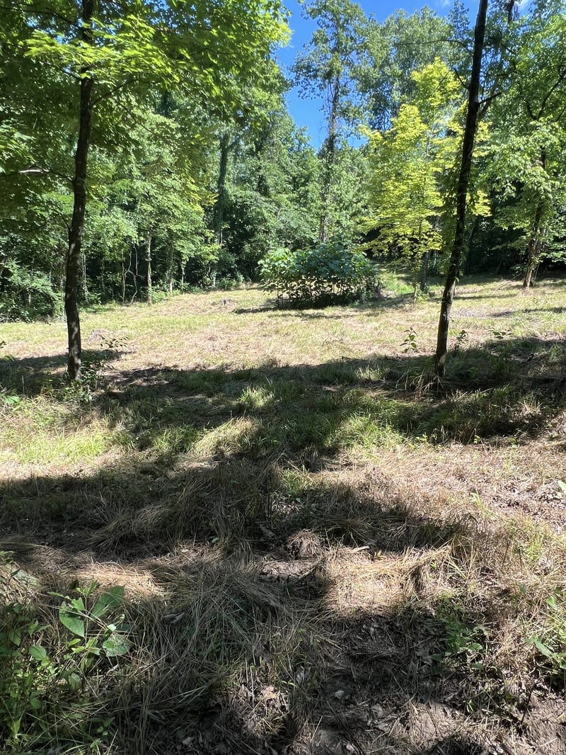 Horseshoe Bend Ln, Elmwood, TN 38560