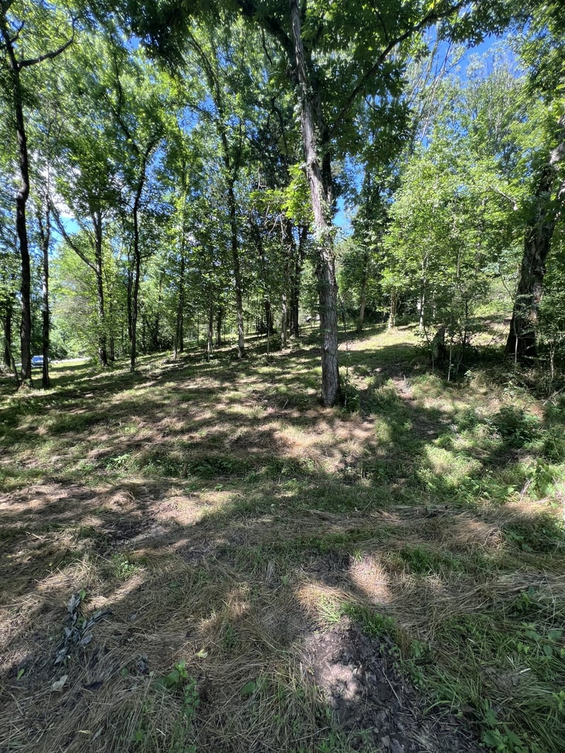Horseshoe Bend Ln, Elmwood, TN 38560
