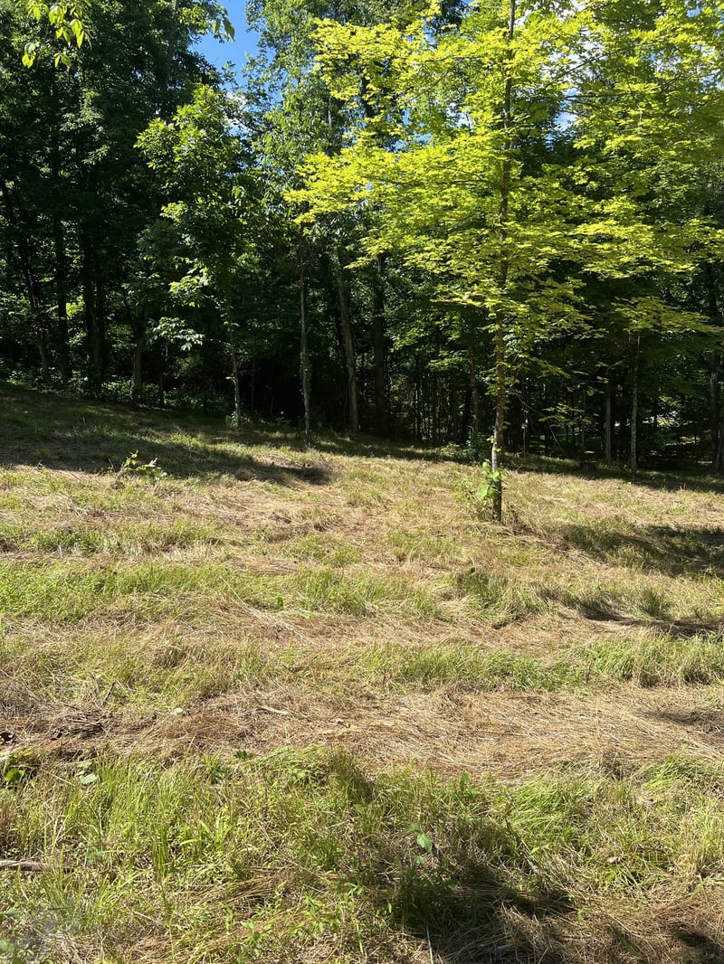 Horseshoe Bend Ln, Elmwood, TN 38560