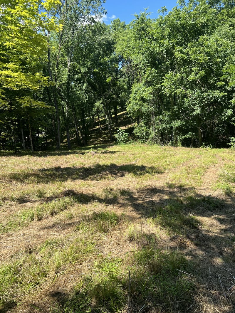 Horseshoe Bend Ln, Elmwood, TN 38560