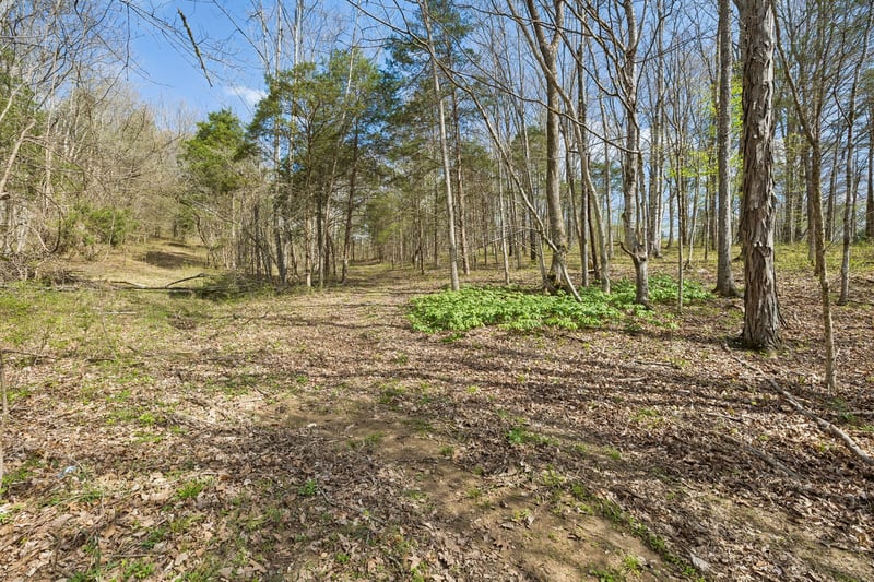 Turney Rd, Auburntown, TN 37016