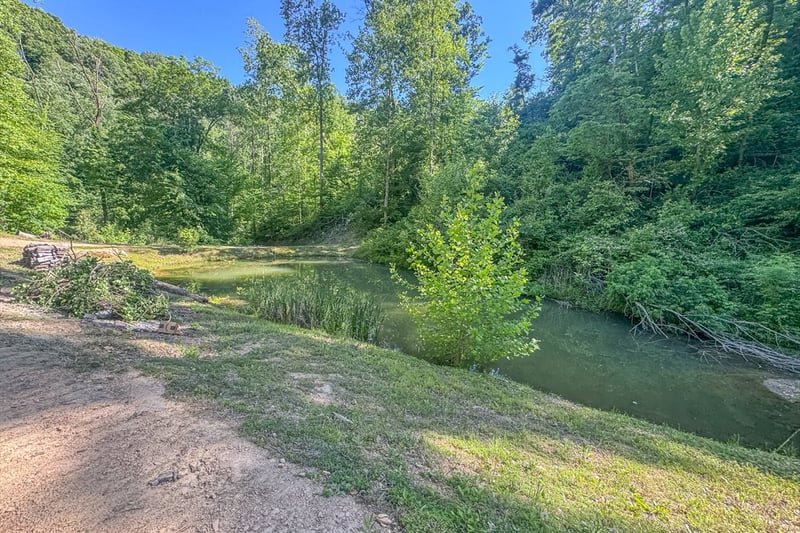 Lost Hollow Ln, Ashland City, TN 37015