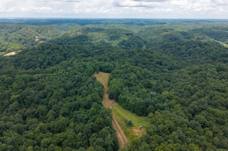 2342 Claylick Rd, Whites Creek, TN 37189