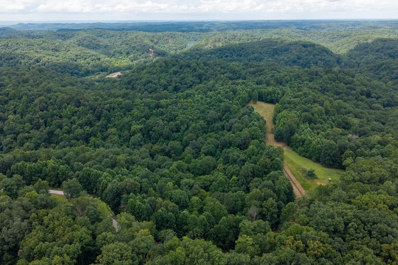 2342 Claylick Rd, Whites Creek, TN 37189