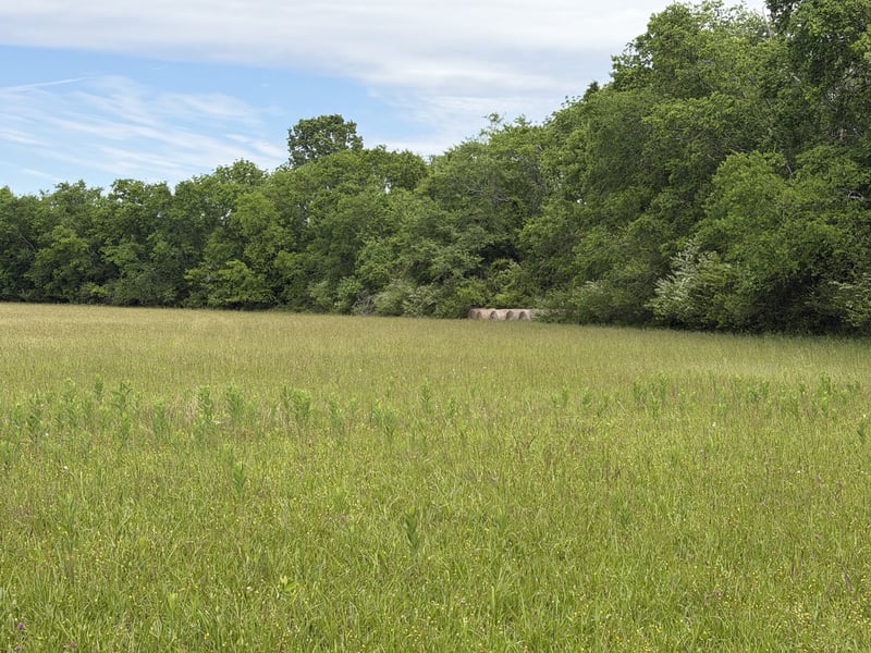 Madison Creek Rd, Goodlettsville, TN 37072