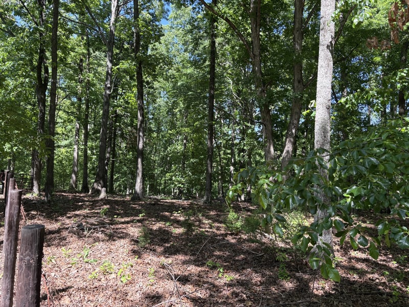 Keytown Rd Lot 10, Portland, TN 37148