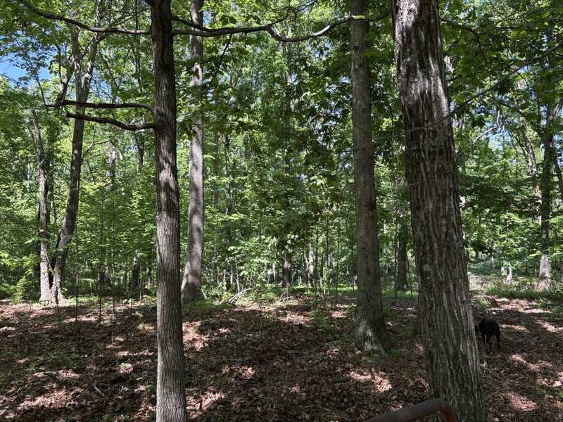 Keytown Rd Lot 10, Portland, TN 37148