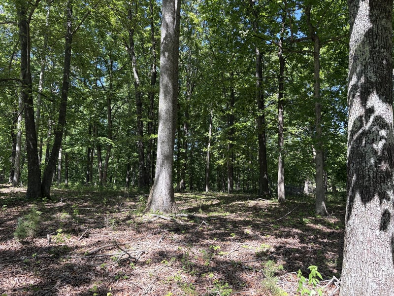 Keytown Rd Lot 10, Portland, TN 37148