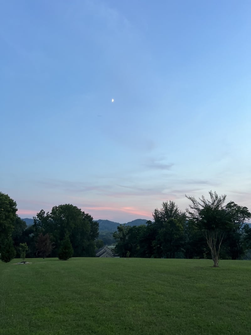 1159 Saddle Springs Dr, Thompsons Station, TN 37179