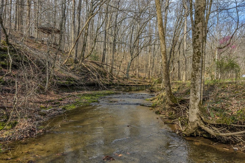 7575 King Rd, Fairview, TN 37062