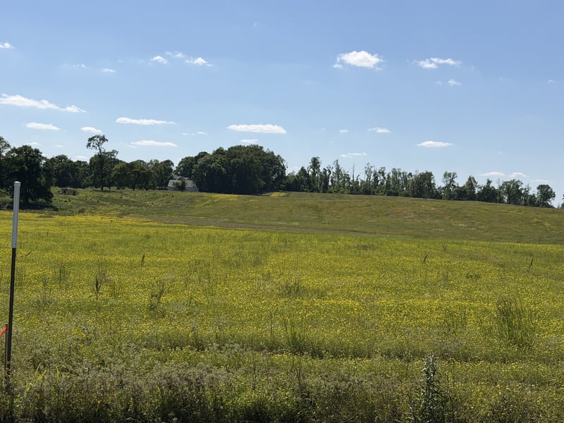 Pinson Rd Lot 2, Springfield, TN 37172