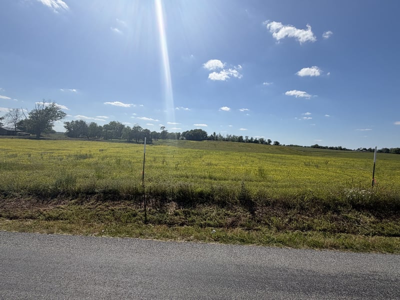 Pinson Rd Lot 2, Springfield, TN 37172