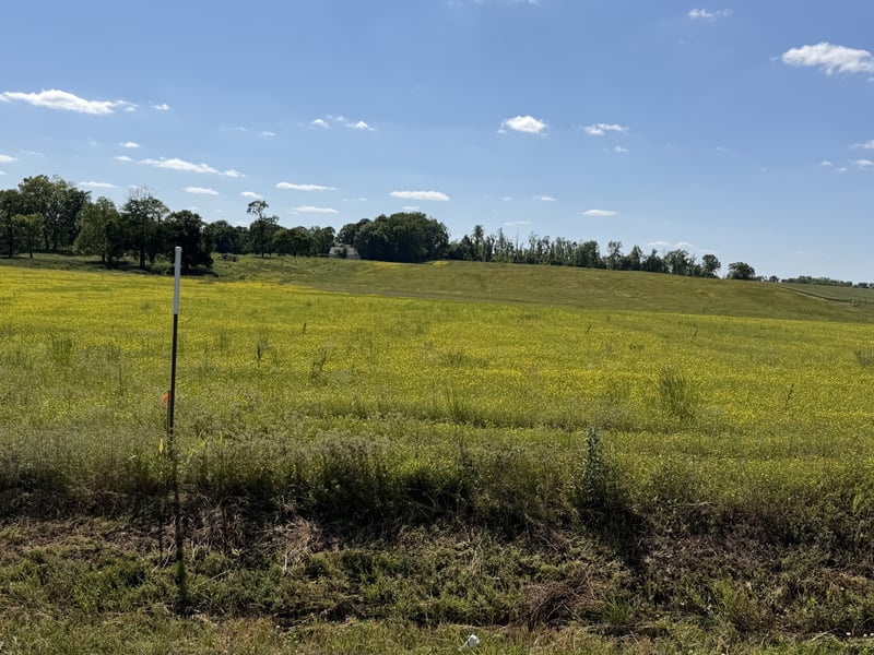 Pinson Rd Lot 3, Springfield, TN 37172