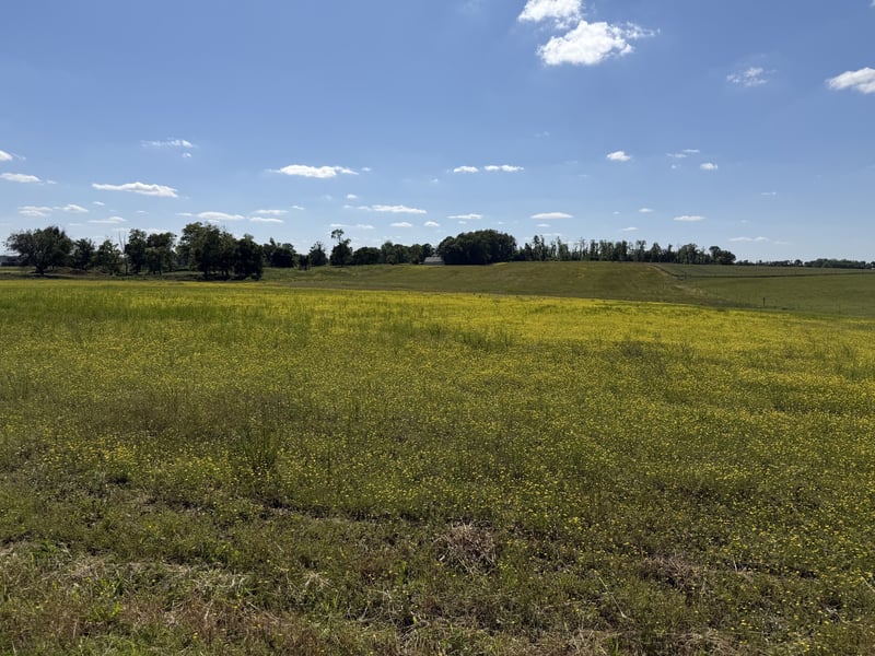 Pinson Rd Lot 5, Springfield, TN 37172