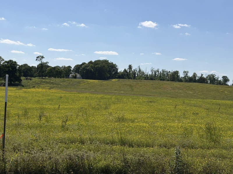Pinson Rd Lot 5, Springfield, TN 37172