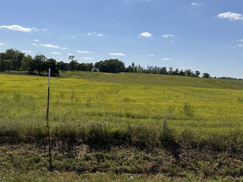 Pinson Rd Lot 5, Springfield, TN 37172