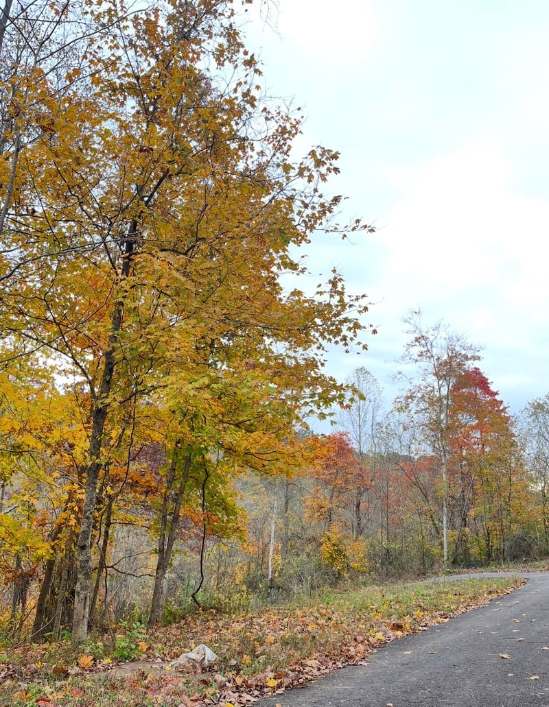 426 Rock House Hollow Rd Lot 2, Westmoreland, TN 37186