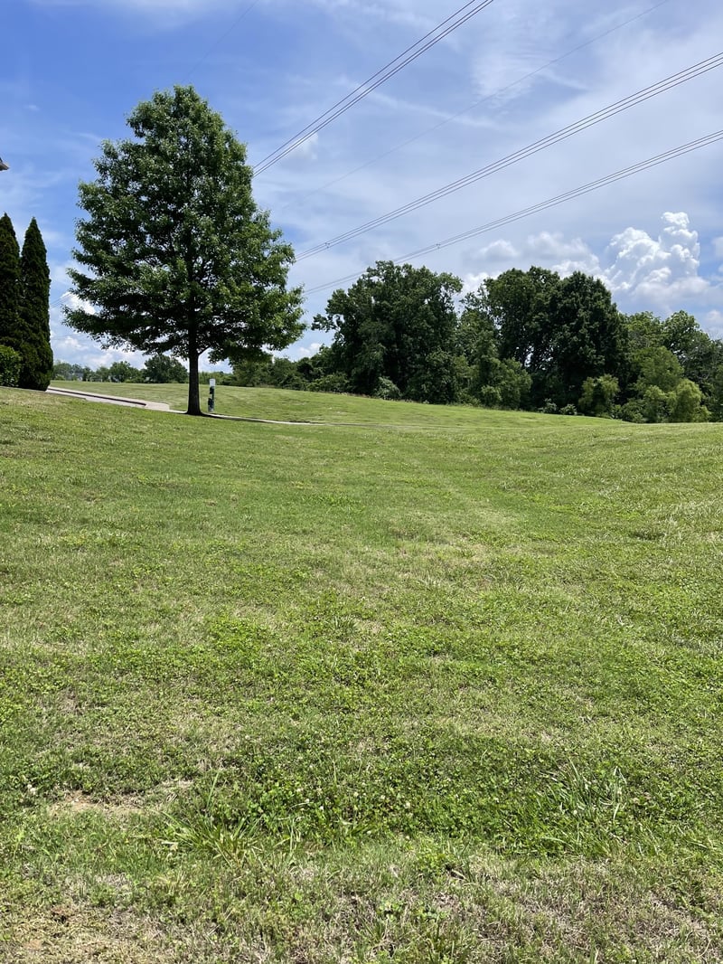 8639 Altesse Way, Brentwood, TN 37027
