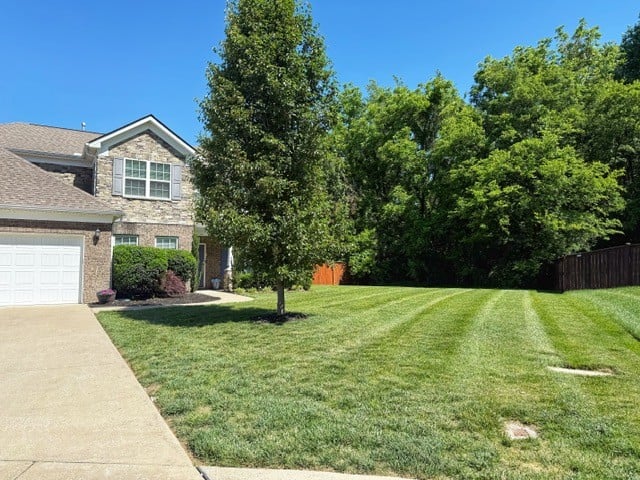 3011 Davinci Ct, Thompsons Station, TN 37179