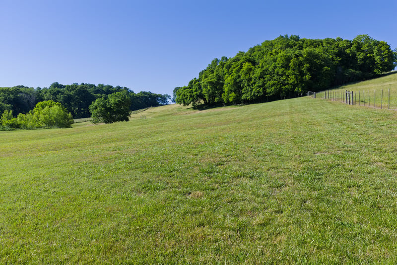 Morel Rd, Columbia, TN 38401