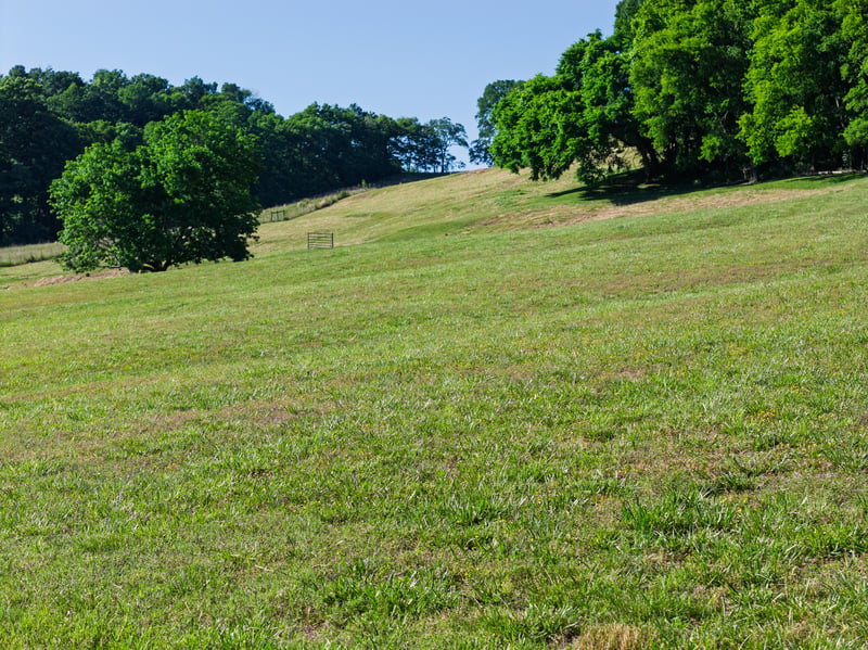 Morel Rd, Columbia, TN 38401
