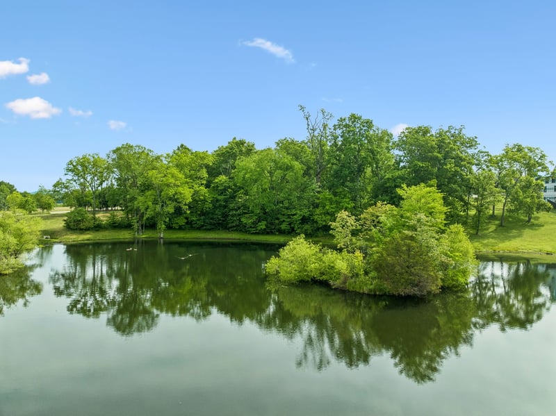 8229 Jolene Dr Lot 608, College Grove, TN 37046