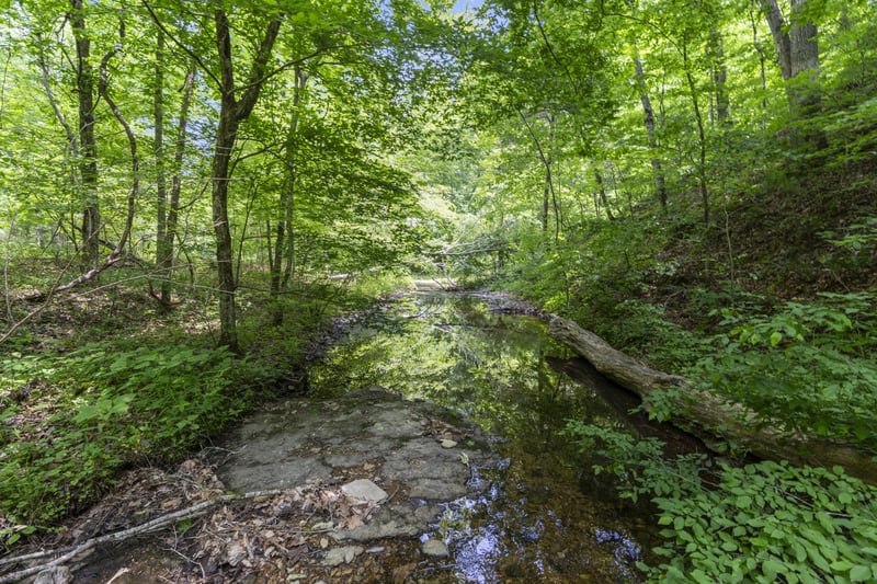 Deerfoot Dr, Pegram, TN 37143