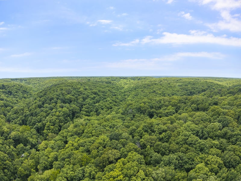 Deerfoot Dr, Pegram, TN 37143
