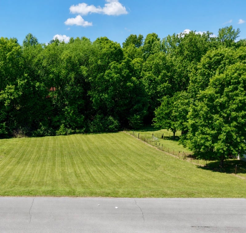 Briarwood Dr, Charlotte, TN 37036