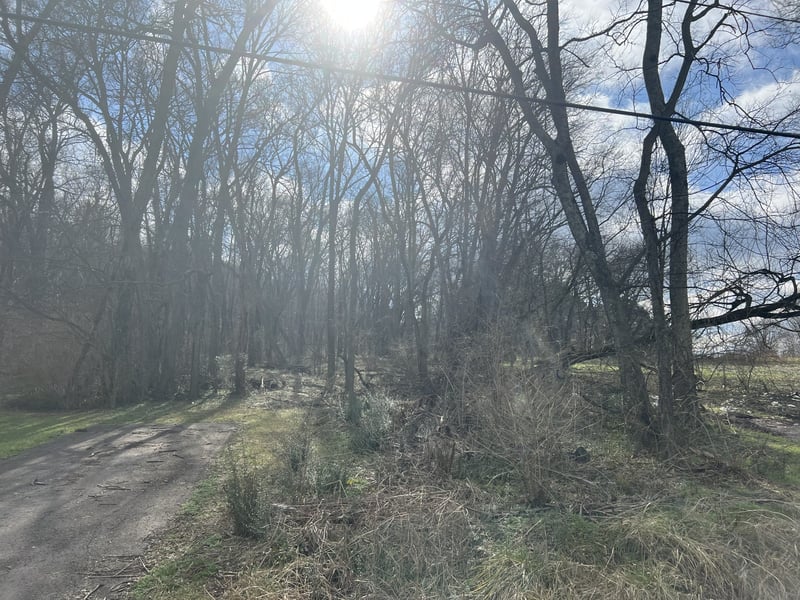917 1st Ave 7 Lots, Mount Pleasant, TN 38474