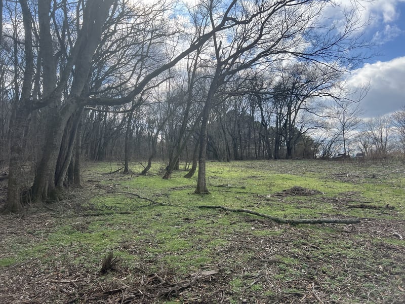 917 1st Ave 7 Lots, Mount Pleasant, TN 38474