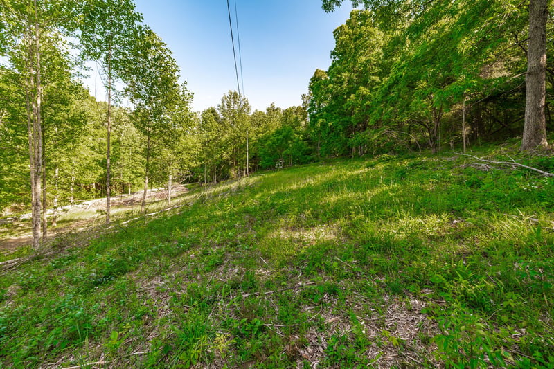 1170 James Brown Rd, Westmoreland, TN 37186