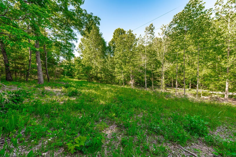 1170 James Brown Rd, Westmoreland, TN 37186