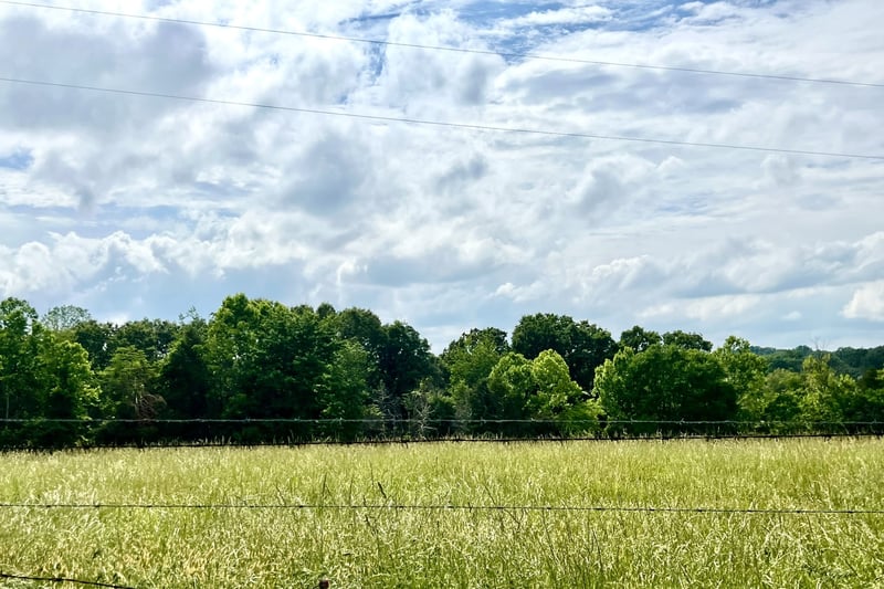0 W George Durham Rd Lot 1, Westmoreland, TN 37186